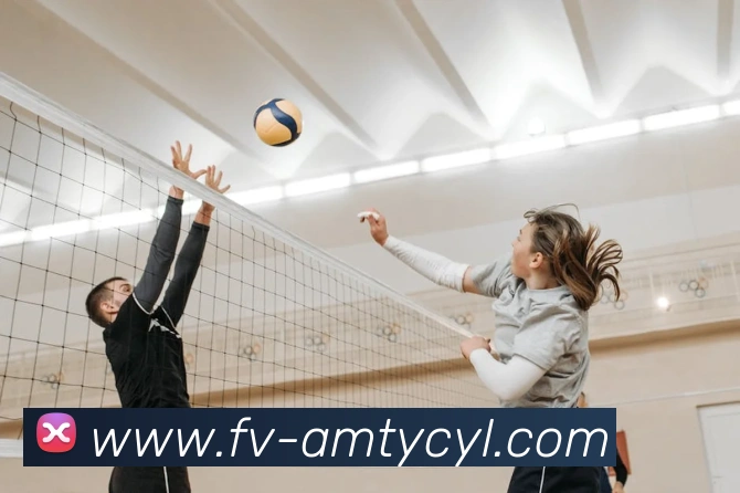 多媒体互动体验